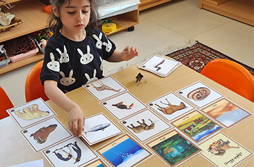 مهد کودک مونته سوری