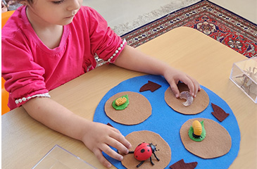 اصول مونته سوری