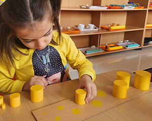 آلبوم حواس مونته سوری