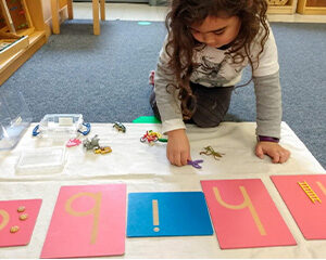 آلبوم زبان آموزی مونته سوری