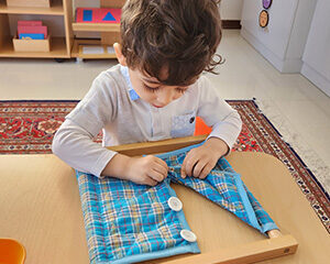 آلبوم مهارت های مونته سوری